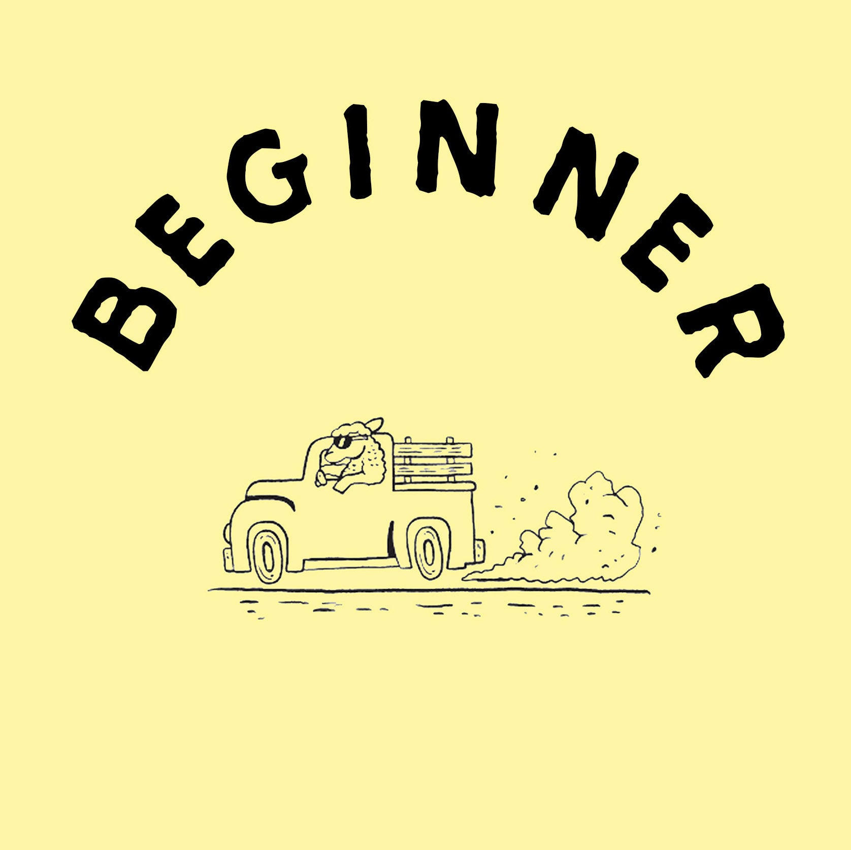 beginner.jpg