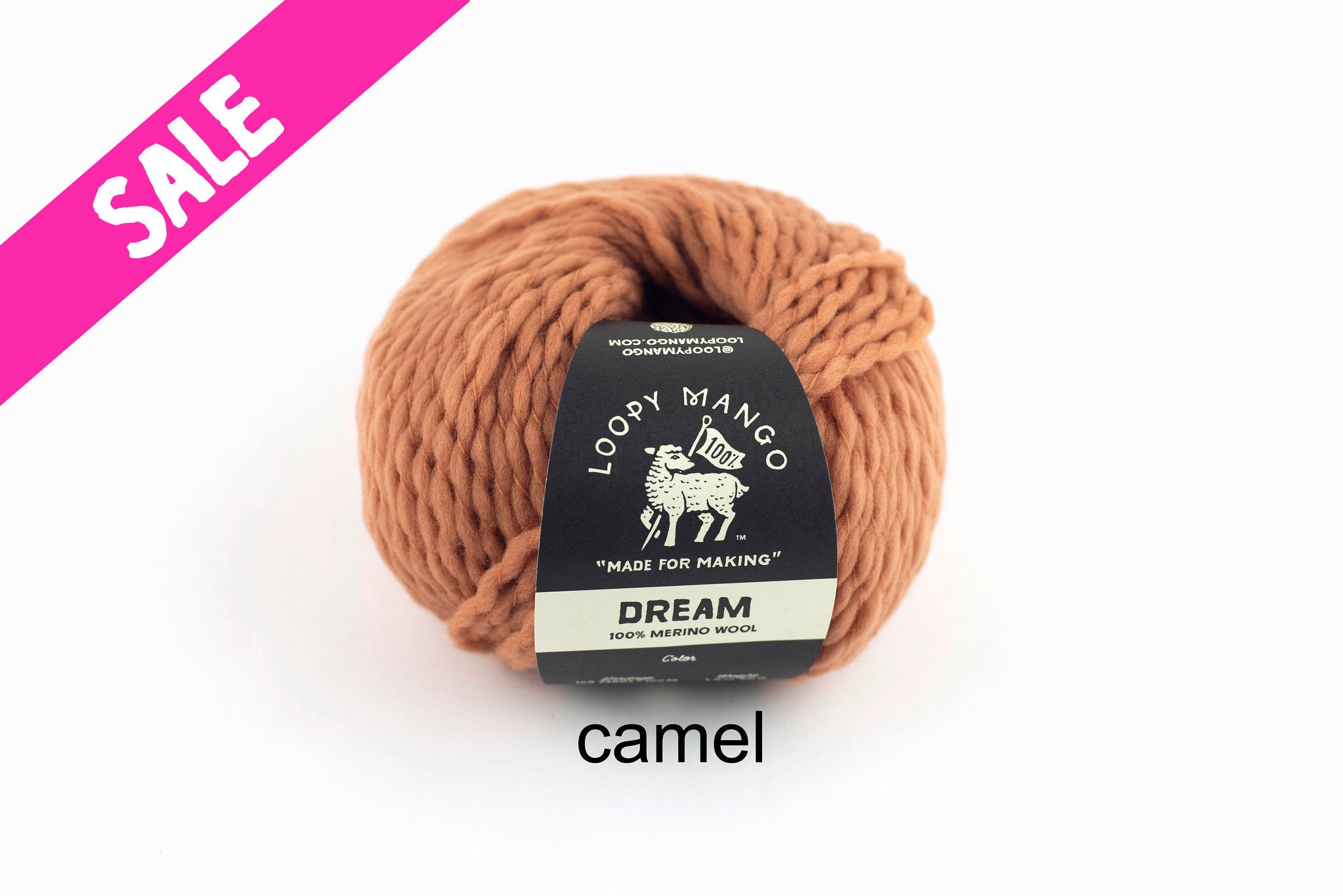 dream_camel_d32da52a-f7c0-4492-92fc-5da6dd2bf99a.jpg