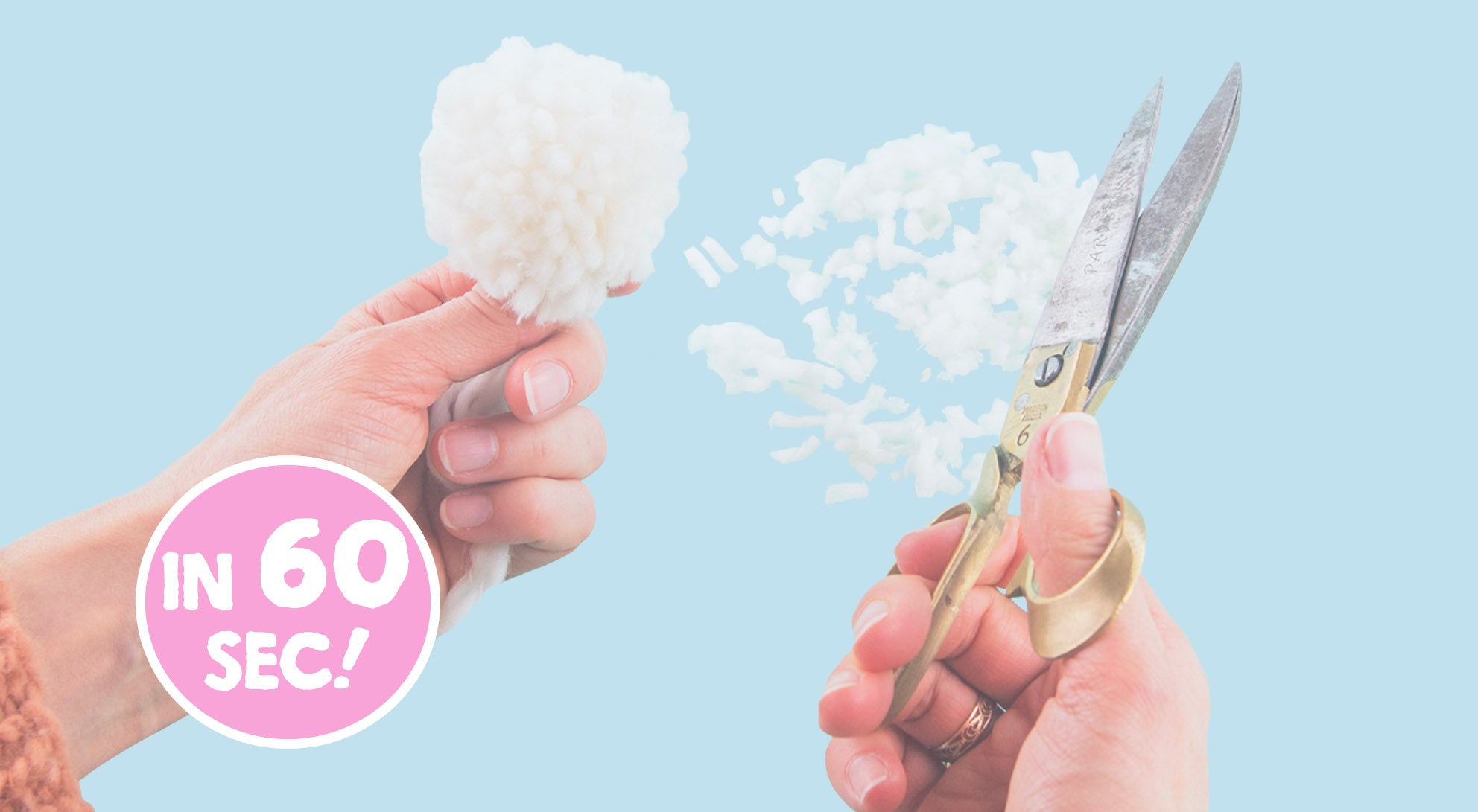 pompom.jpg