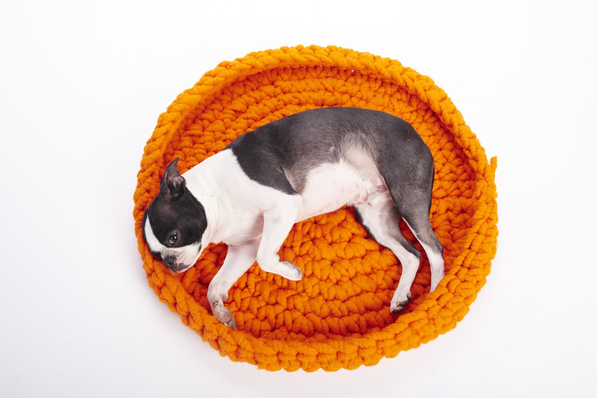 FREE No. 1 Pet Bed - PATTERN - Big Loop